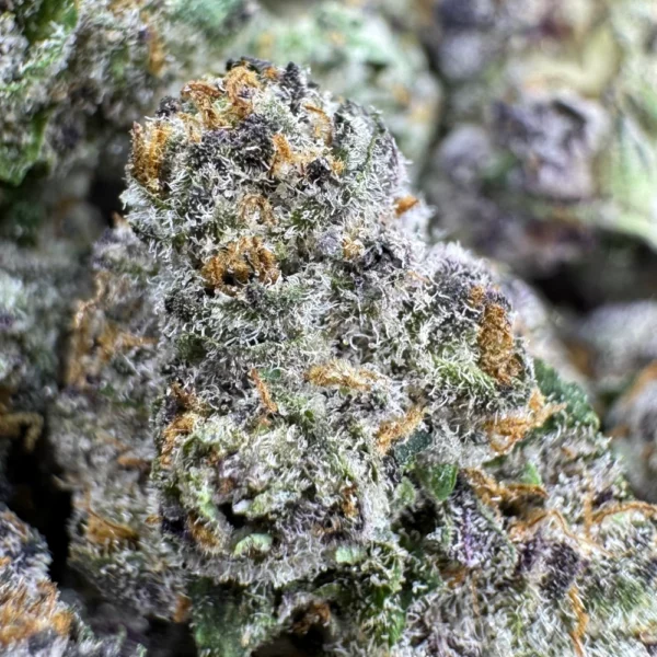 Space Candy Popcorn Macro