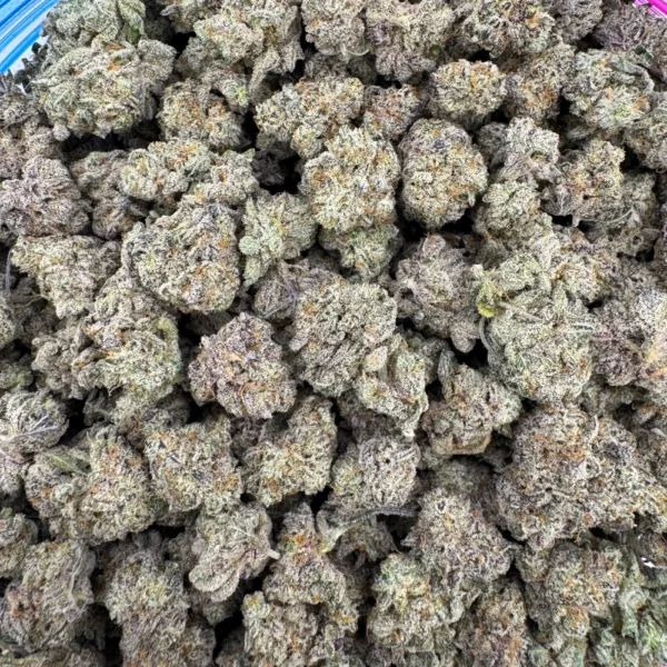 White Truffle Popcorn Bulk