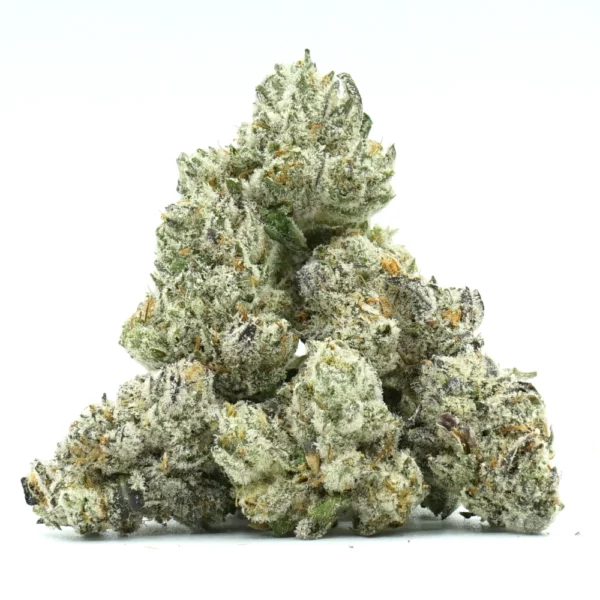 Blue Lobster Popcorn