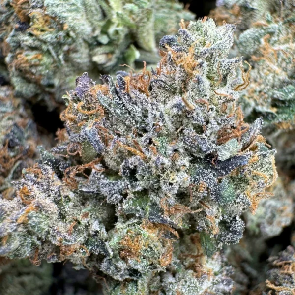 Pink Death Bubba Macro