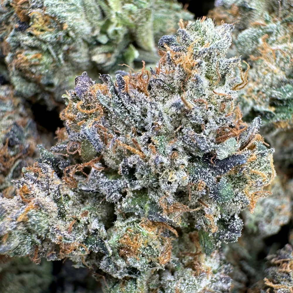 Pink Death Bubba Macro Pink Death Bubba Macro