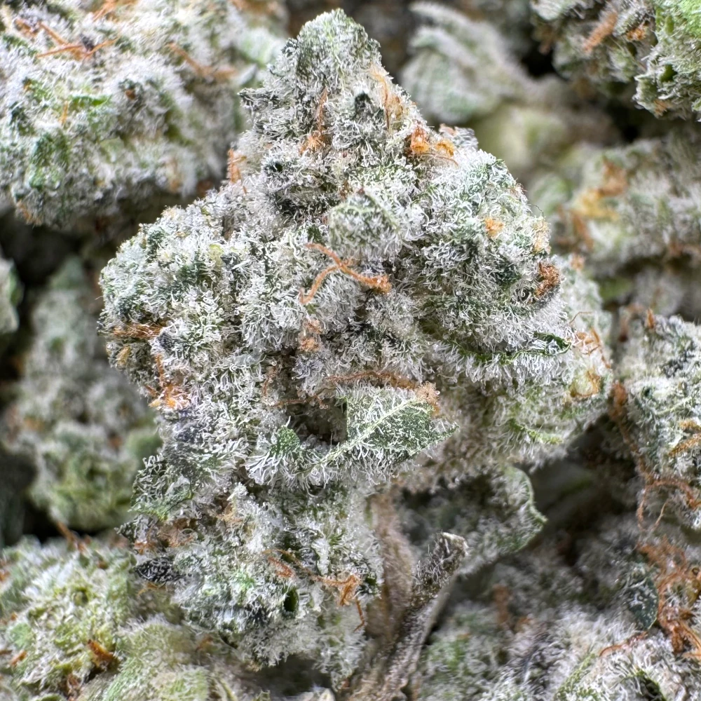 Sugar Rush Popcorn Macro Sugar Rush Popcorn Macro