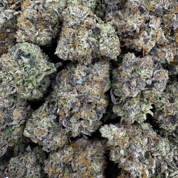 East Van Rockstar Bulk