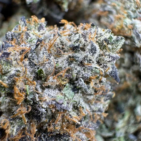 East Van Rockstar Macro