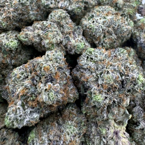 LSO Astro Pink Mediums