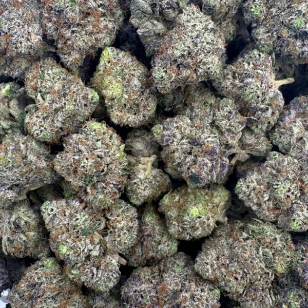 LSO Astro Pink Mediums Bulk