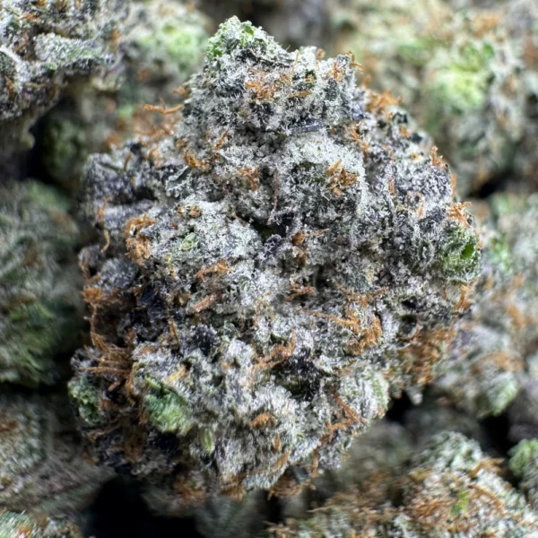 LSO Astro Pink Mediums Macro