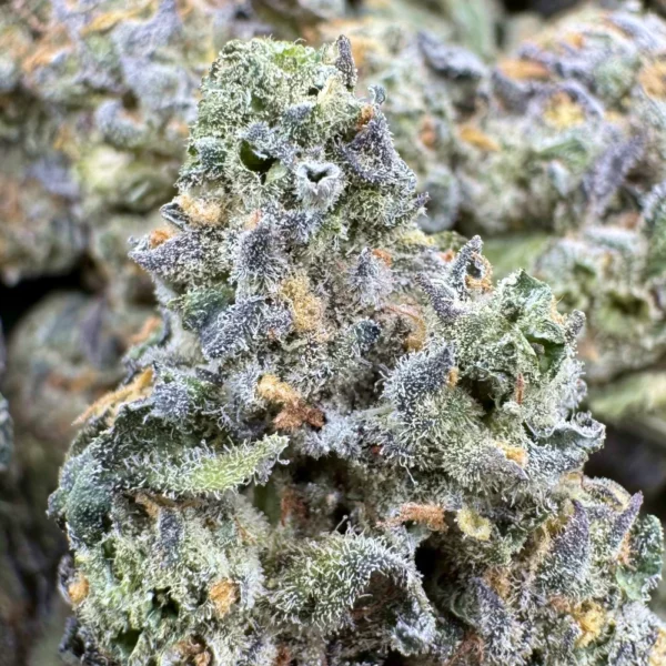 Apple Fritter Macro Apple Fritter Macro