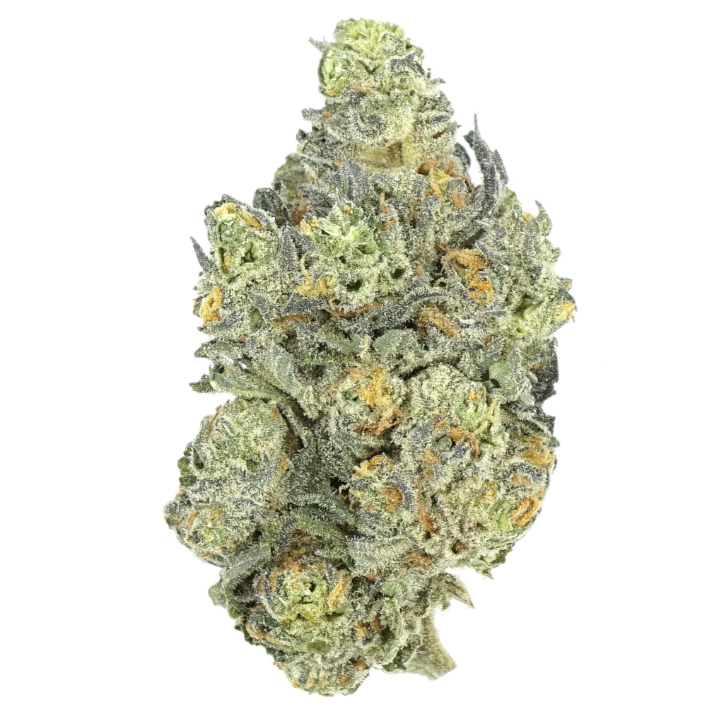 Apple Fritter Apple Fritter