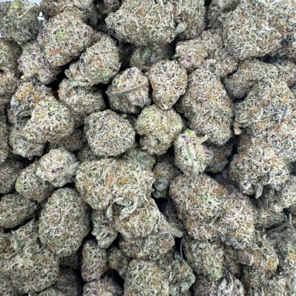 BC Blueberry MedLrg Bulk BC Blueberry MedLrg Bulk