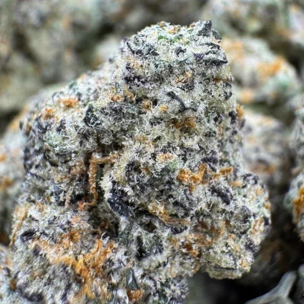 Frosted Cream Puffs Popcorn Macro Frosted Cream Puffs Popcorn Macro