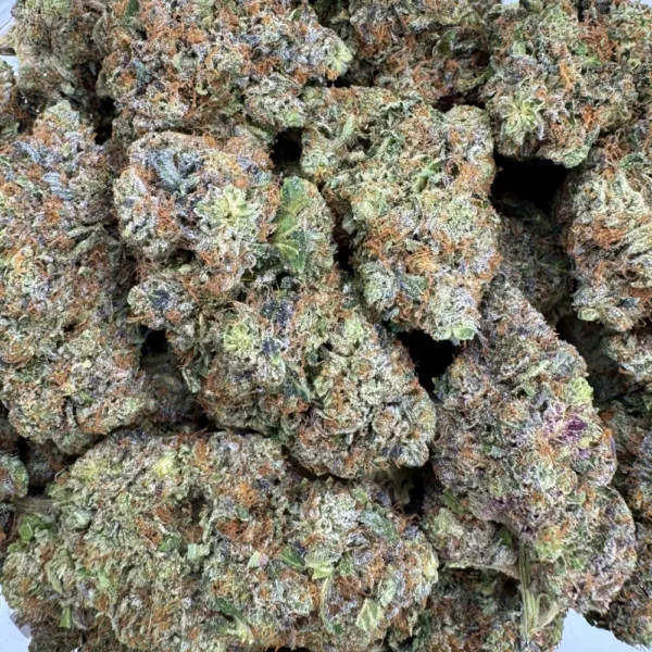 Gas Station Bob Bulk