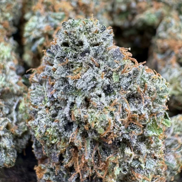 Gas Station Bob Macro