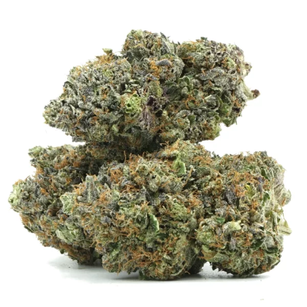 Gas Station Bob Multi