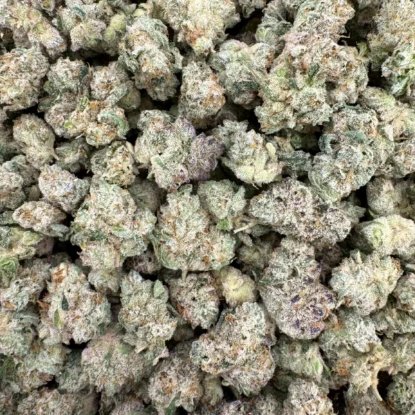 Petrol Potion Popcorn Bulk