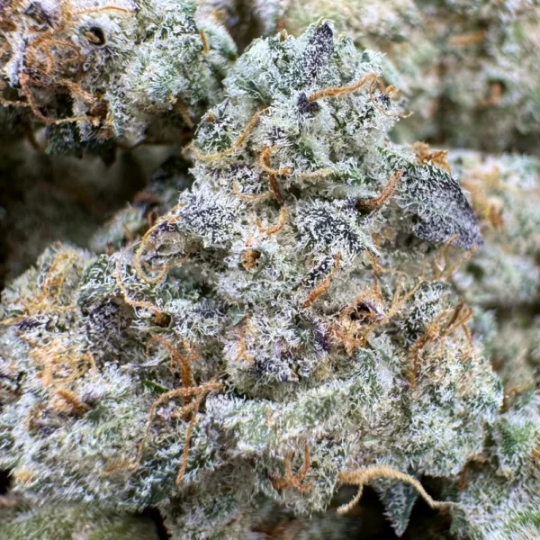 Petrol Potion Popcorn Macro