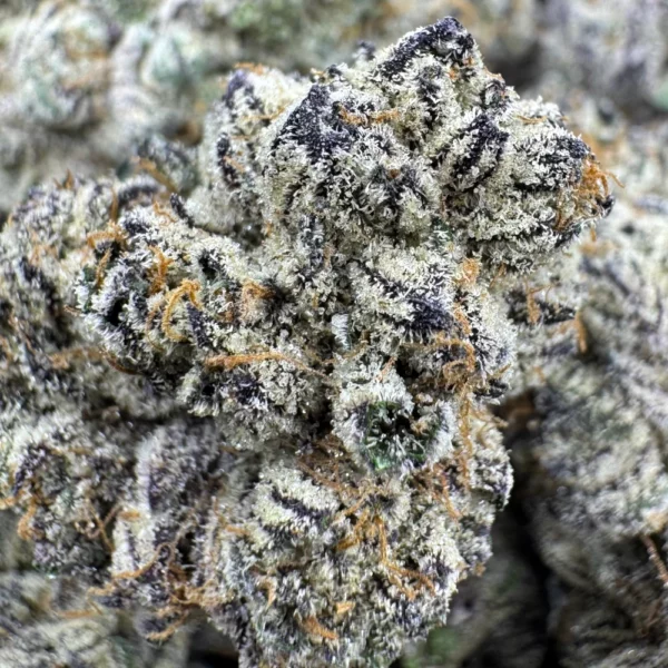 Presidents Private Reserve Macro Presidents Private Reserve Macro