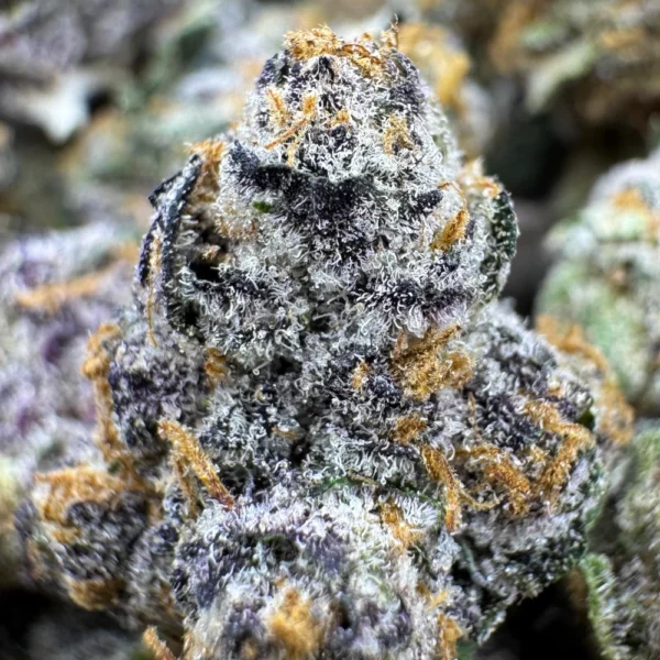 Space Candy Popcorn Macro