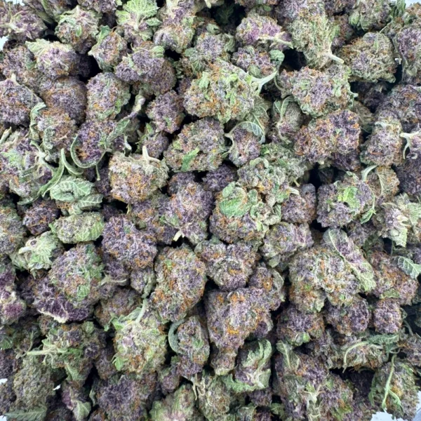 Tropicana Cookies Popcorn