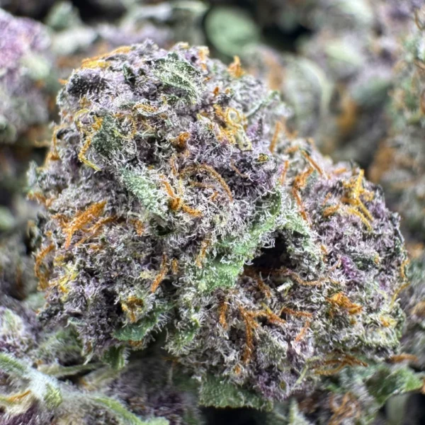 Tropicana Cookies Popcorn Macro