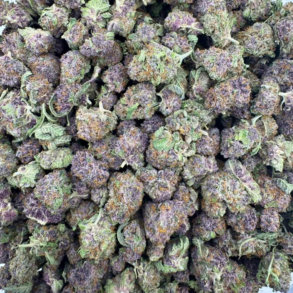 Tropicana Cookies Popcorn Tropicana Cookies Popcorn