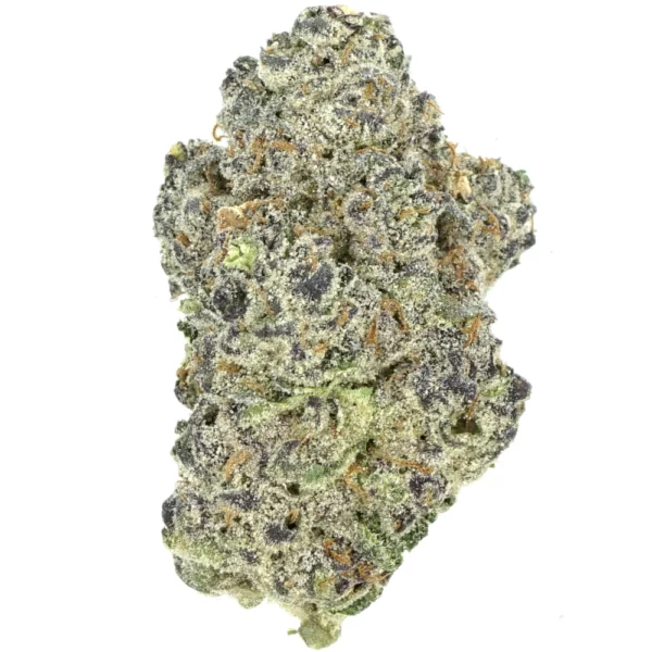 Violet Fog Violet Fog