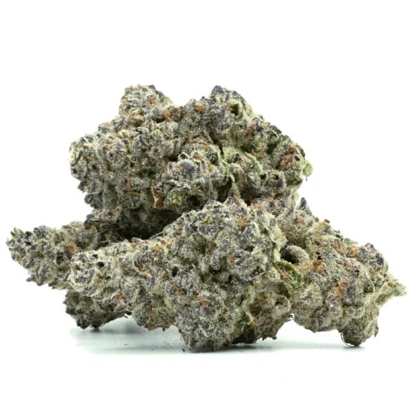 Violet Fog Multi Violet Fog Multi