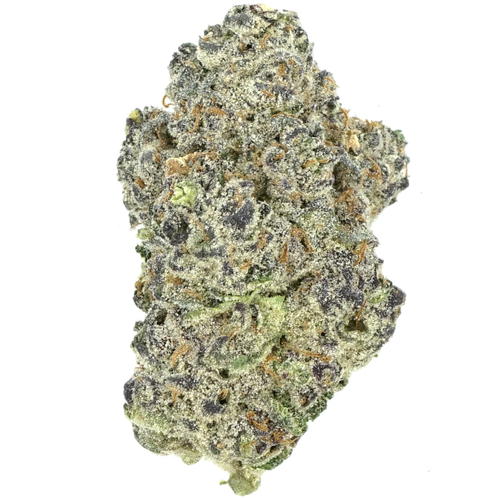 Violet Fog Violet Fog