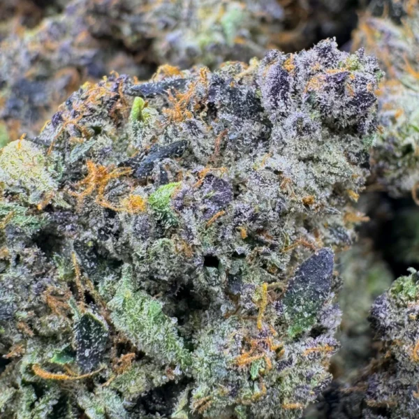 12 Week Tom Ford Pink Macro