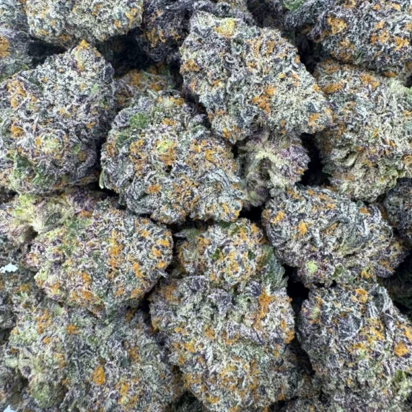 Black Gorilla Bulk