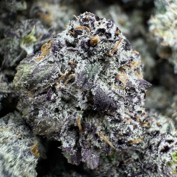 Blueberry Diesel Popcorn Macro