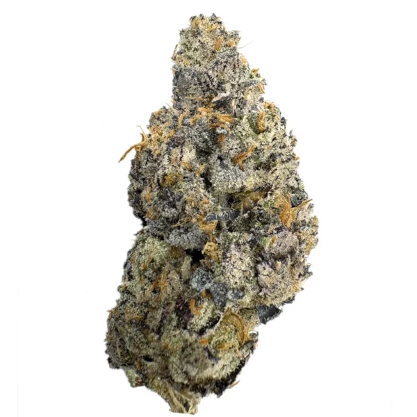 Dantes Inferno Dante's Inferno