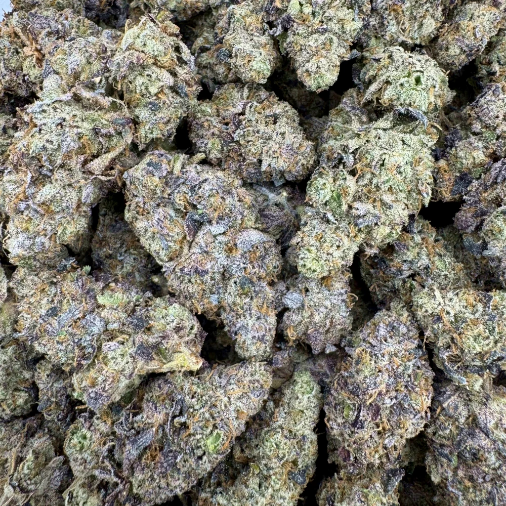 Dantes Inferno Bulk Dante's Inferno Bulk