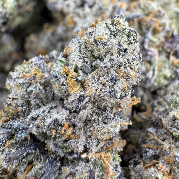 Dante's Inferno Macro