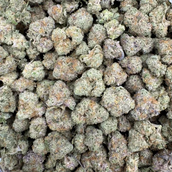 Hidden Pastry Popcorn Bulk Hidden Pastry Popcorn Bulk