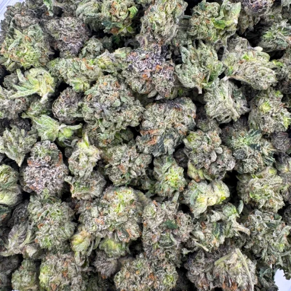 LSO Galactic Gas Popcorn Bulk