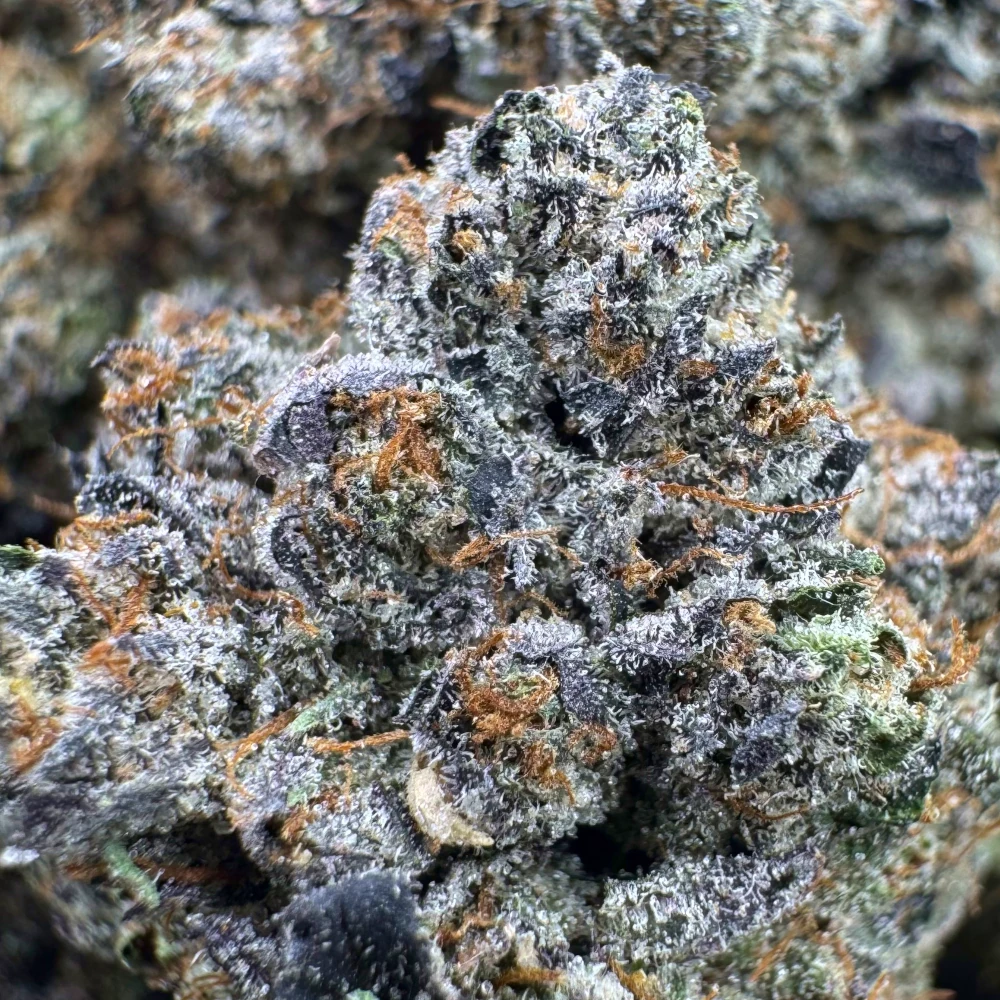 Lindsay OG Macro Lindsay OG Macro