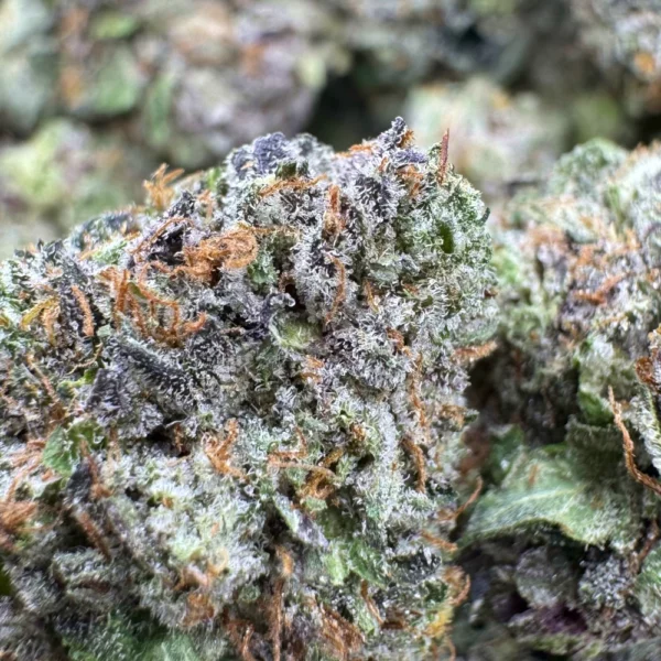 Pre98 Bubba Macro
