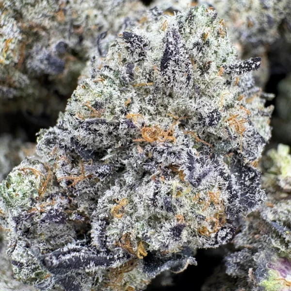 Purple Ice Water Macro