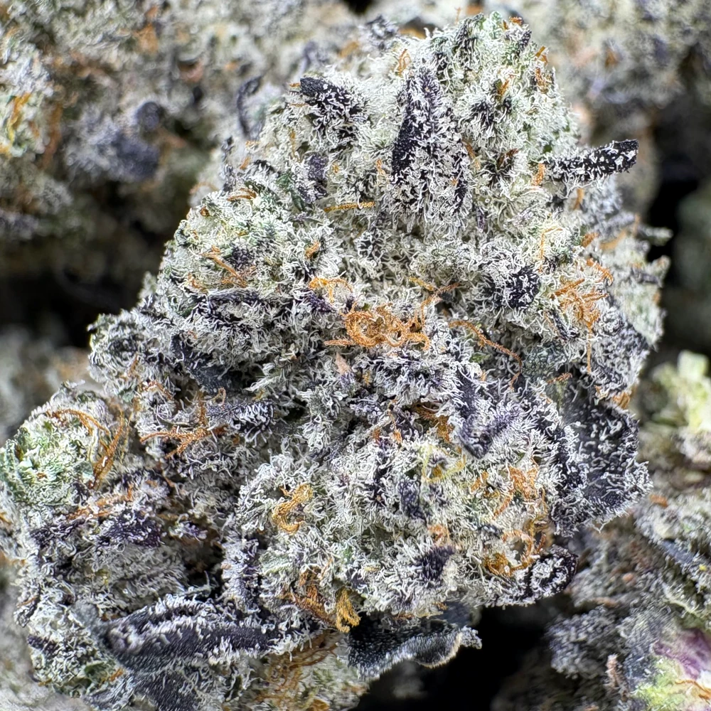 Purple Ice Water Macro Purple Ice Water Macro