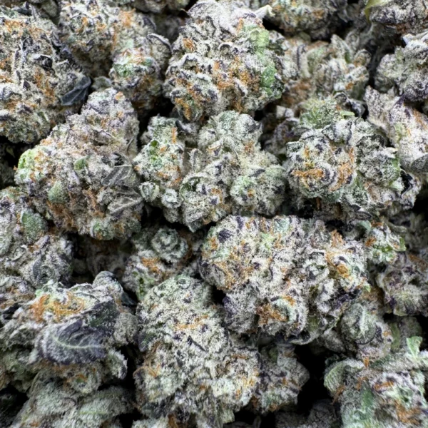 Candy Latte Popcorn F2