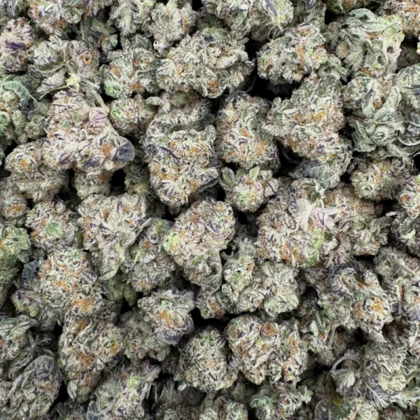 Candy Latte Popcorn F2 Bulk