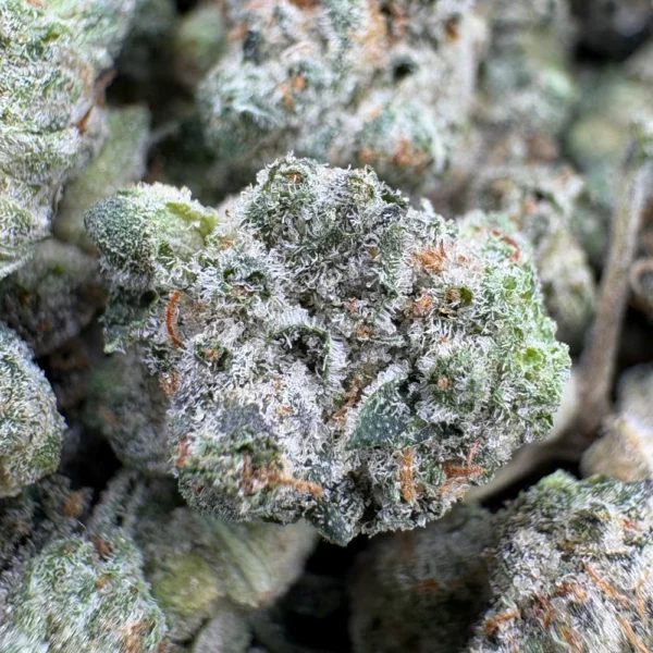 Death Master Popcorn Macro