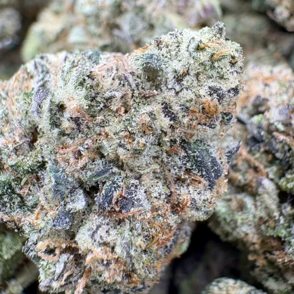 LSO Permanent Marker Macro