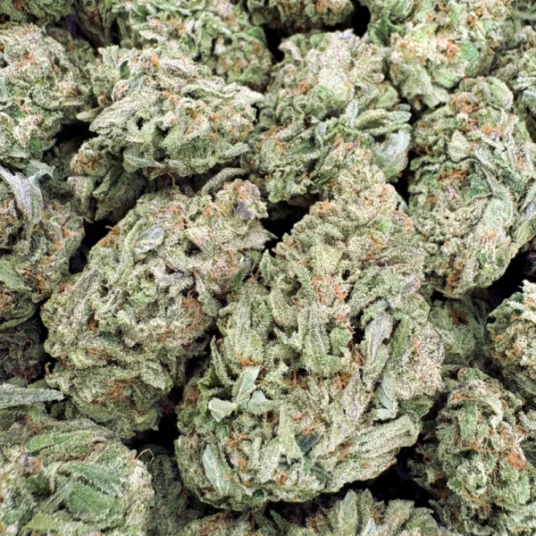 Northern Lights Multi