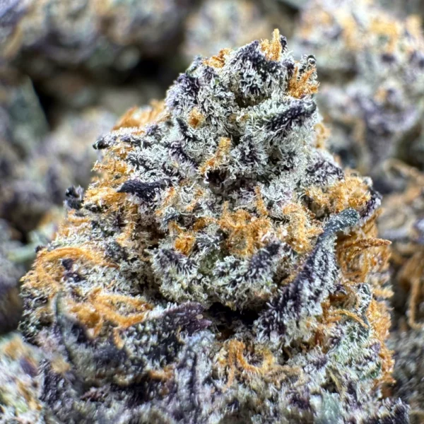 Peanut Butter Rockstar Popcorn Macro