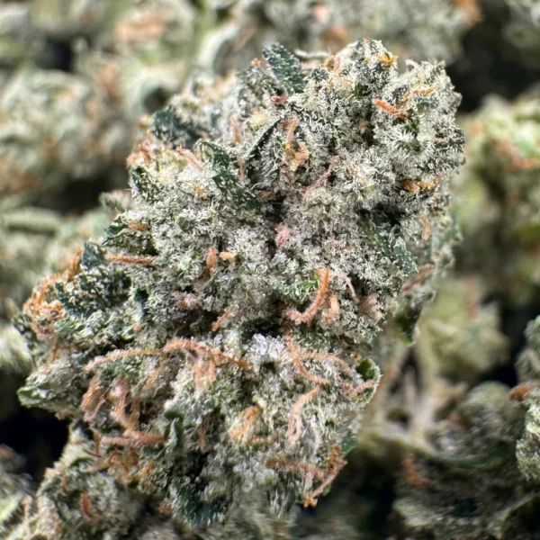 Pink Gas Mask Popcorn Macro