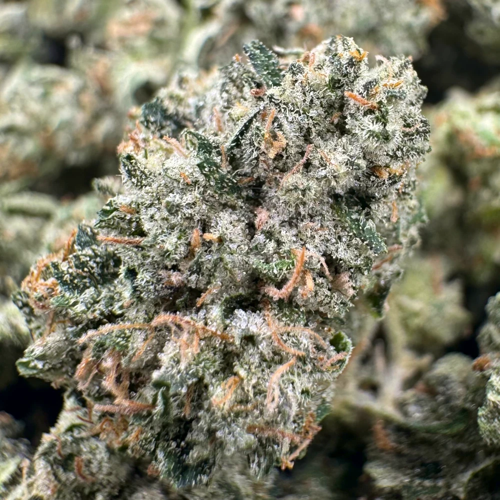 Pink Gas Mask Popcorn Macro Pink Gas Mask Popcorn Macro