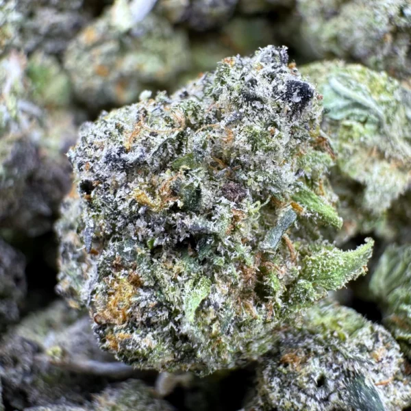 Pink Runtz Popcorn Macro