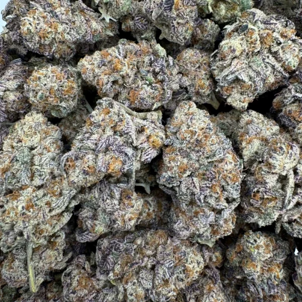 Purple Biscotti Bulk